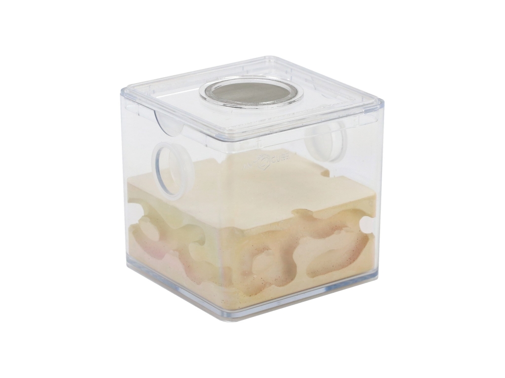 ANTCUBE - Box 10x10  - Gipsnest beige